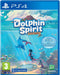 Dolphin Spirit: Ocean Mission