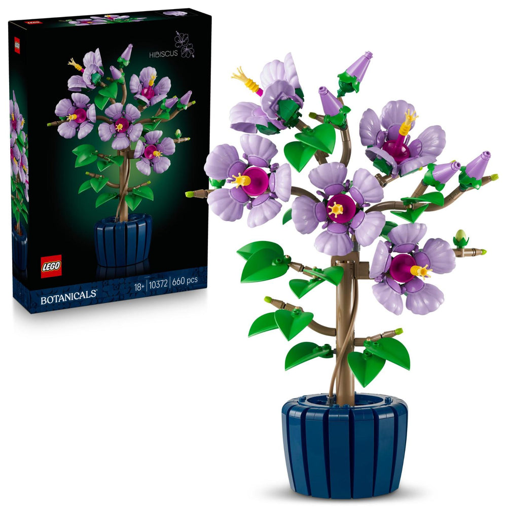 Hibiscus #10372