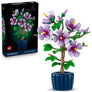 Hibiscus #10372