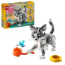 Playful Cat #31163