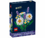 Daisies #11508