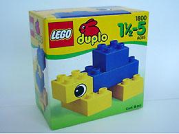 Turtle #1800