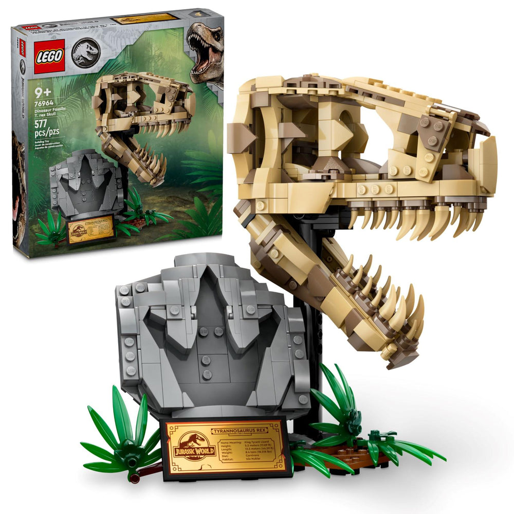 Dinosaur Fossils: T. Rex Skull #76964