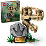 Dinosaur Fossils: T. Rex Skull #76964