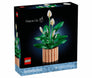 Peace Lily #11504