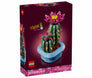Flowering Cactus #11509