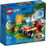 Forest Fire #60247