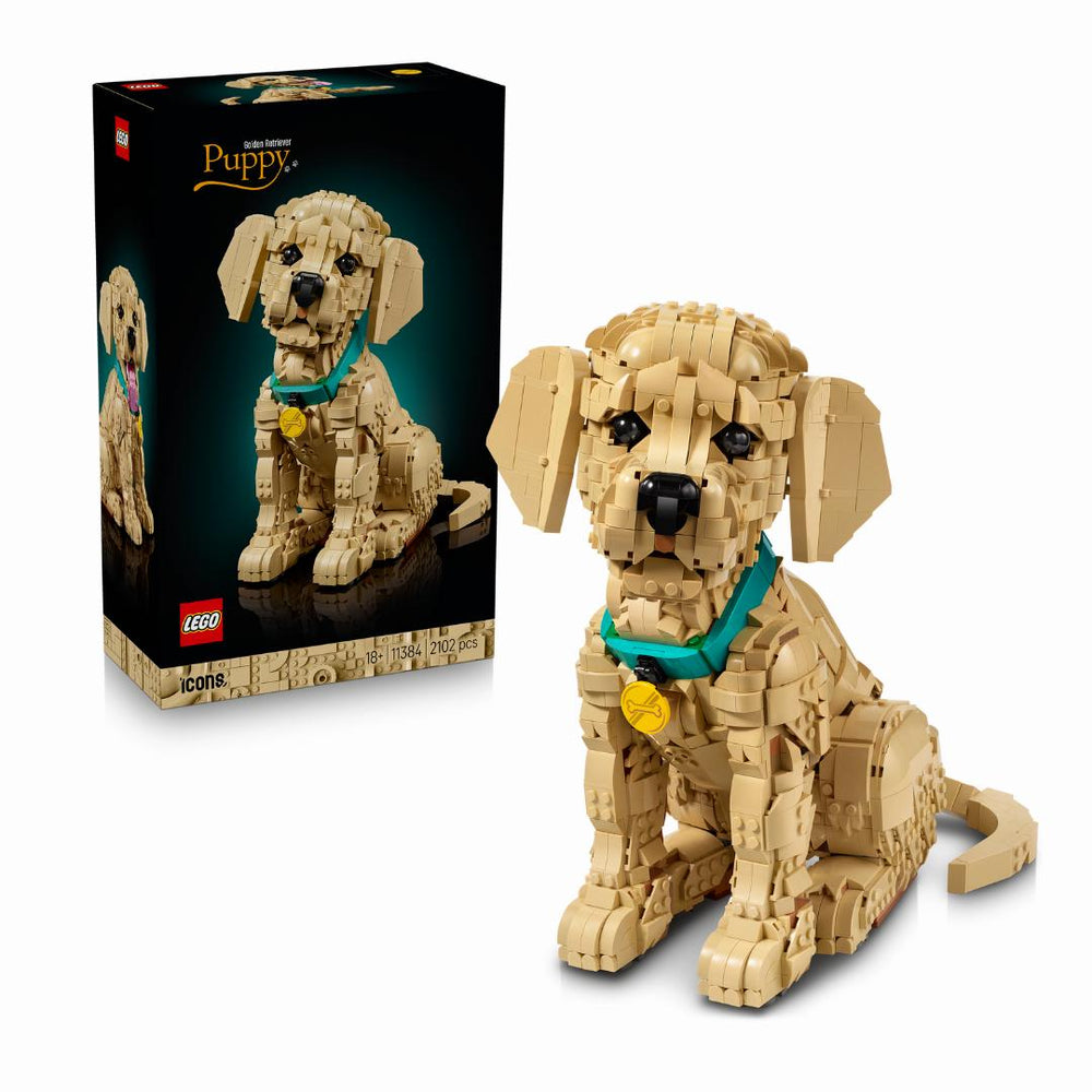 Golden Retriever Puppy #11384