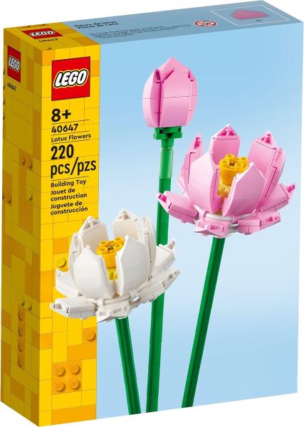 Lotus Flowers #40647