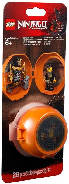 Cole's Kendo Training Pod #853759