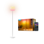 H1630 Lantern Floor Lamp