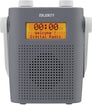 Eversden DAB/DAB+ Portable FM Radio