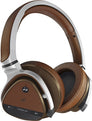 EF0590 Aurvana Platinum