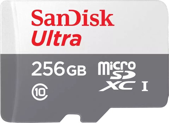 SanDisk Ultra Go 256GB SDXC UHS-I A1 V10
