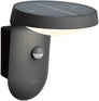 Tyla Solar LED Outdoor Wall Light (1.2W)