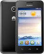 Y330 Ascend