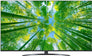Generic 60" LED TV