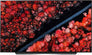 OLED55C9MLB 55" 4K Ultra HD HDR Smart OLED TV