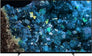 XR-65A80L 65" 4K UHD HDR Smart OLED TV