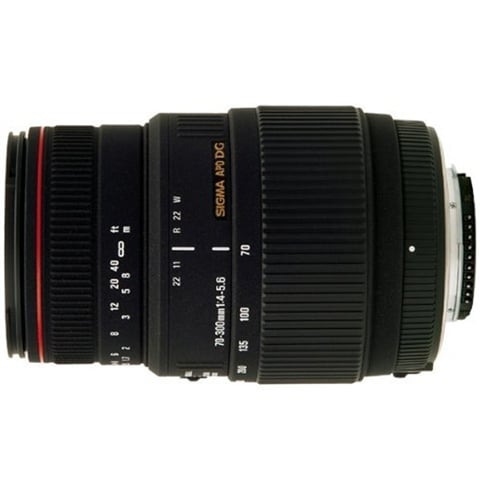 70-300mm F/4-5.6 DG APO Mac (Can)
