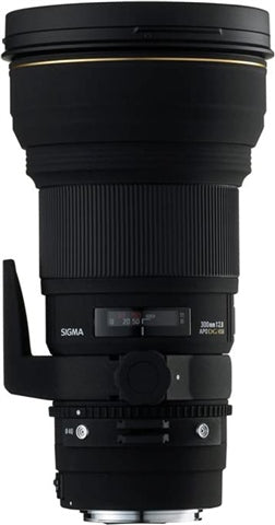 300mm f/2.8 APO EX DG (Sony)