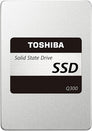 Q300 480GB SATA 2.5"