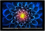 Surface Pro 4
