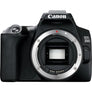 EOS 250D (Body) DSLR Camera