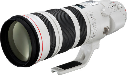 EF 200-400mm f/4L IS USM Extender 1.4x White Lens