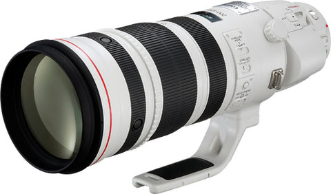 EF 200-400mm f/4L IS USM Extender 1.4x White Lens