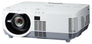P502W WXGA (1280x800) Projector