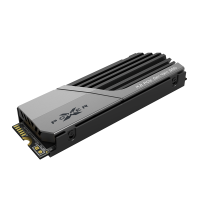 Silicon Power XS70 1TB M.2 2280 PCIe NVMe SSD met heatsink