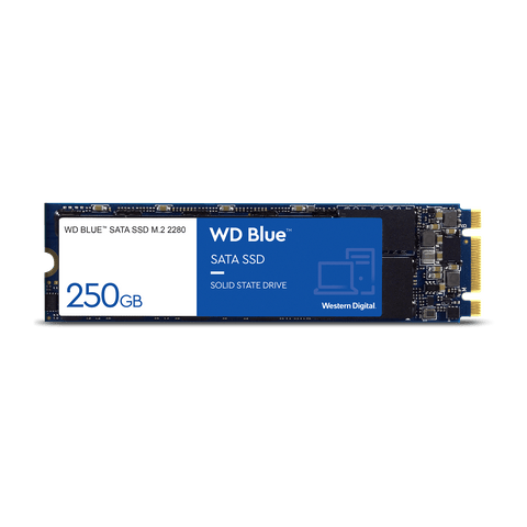 WD Blue 250GB 2280 M.2 SATA SSD