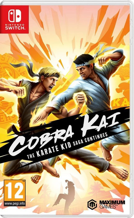 Cobra Kai: The Karate Kid Saga Continues